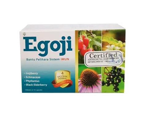 EGOJI DS — Prosweal Indomax
